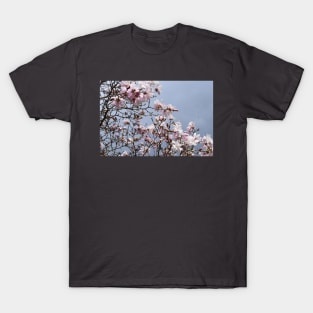 Spring Time Pink Blossoms Photography T-Shirt